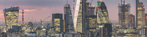 SDG 1 Header