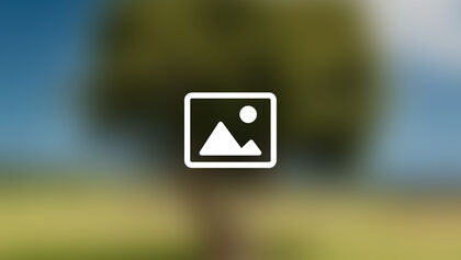 Placeholder 1 standard