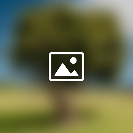 Placeholder 1 standard