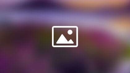 Placeholder 3 standard