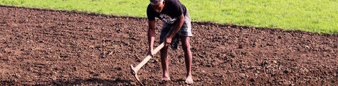 Slave man Working in field with pick axe copy